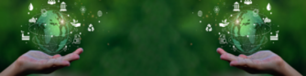 GOBERNANZA, REPUTACIÓN Y CRITERIOS ESG